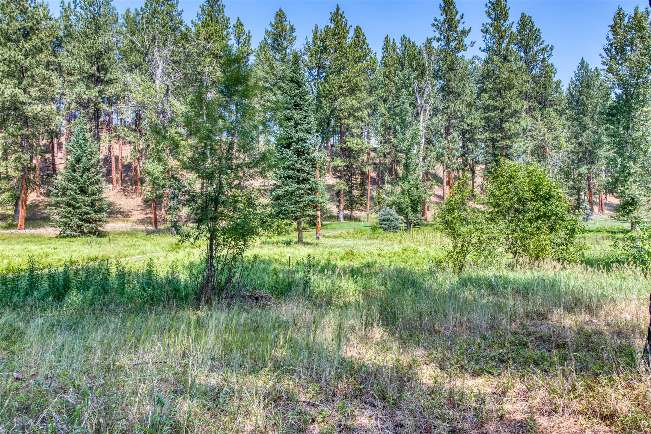 Darby, Montana 59829, United States, 12 Bedrooms Bedrooms, ,16 BathroomsBathrooms,Residential,Pending,61822