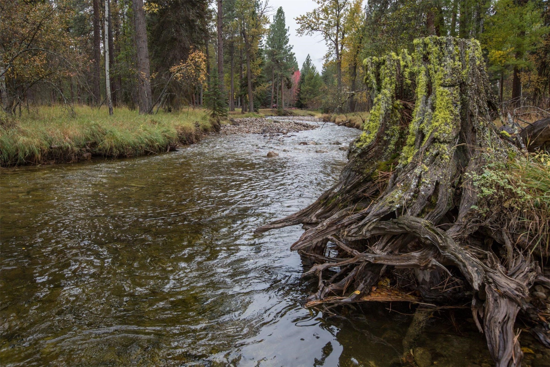 Darby, Montana 59829, United States, 12 Bedrooms Bedrooms, ,16 BathroomsBathrooms,Residential,Pending,61822