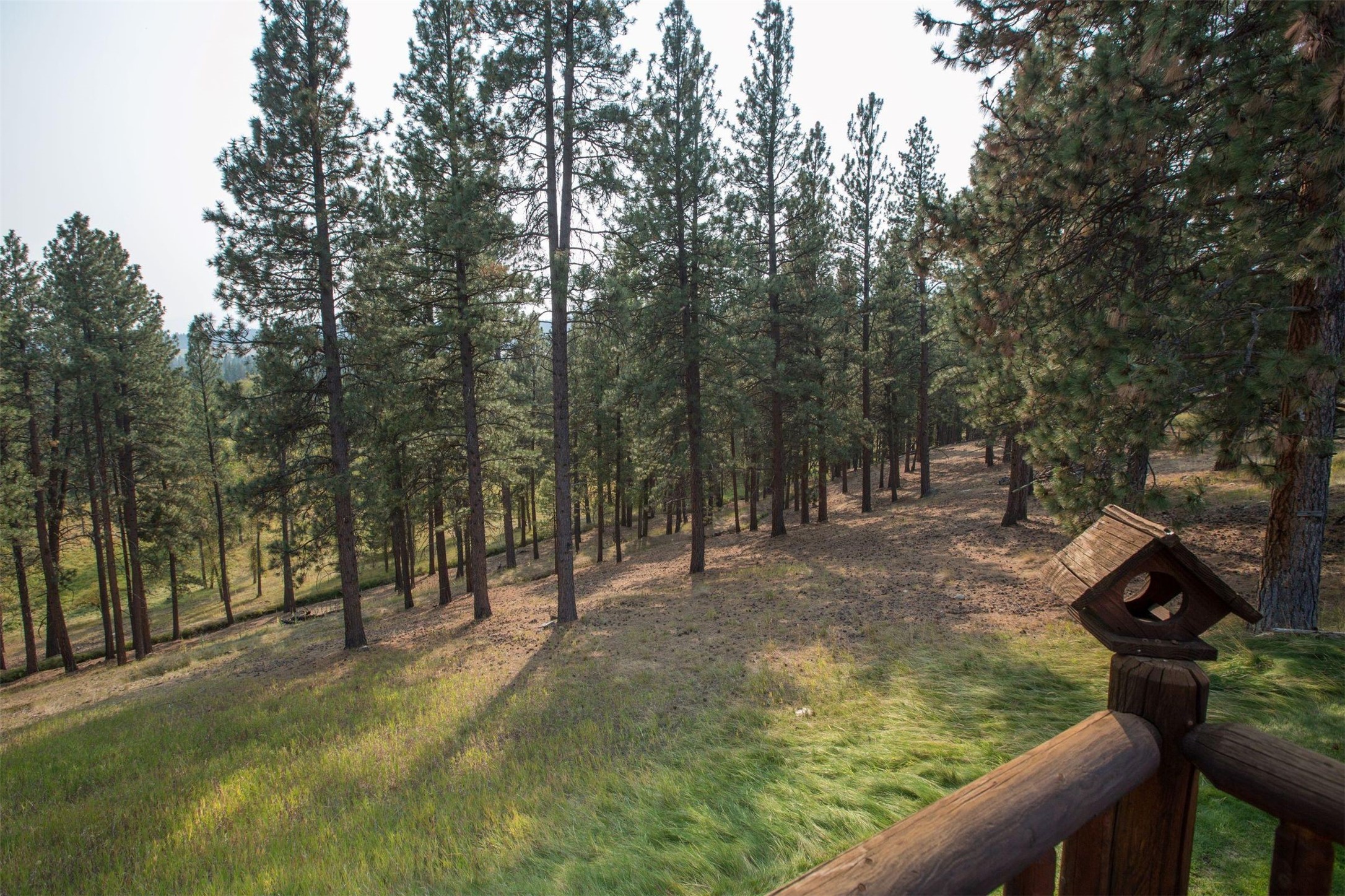 Darby, Montana 59829, United States, 12 Bedrooms Bedrooms, ,16 BathroomsBathrooms,Residential,Pending,61822