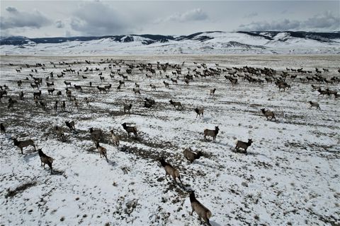 Tiny photo for Tract C1 HWY 287, Cameron, MT 59720 (MLS # 30069591)