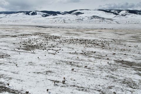 Tiny photo for Tract C1 HWY 287, Cameron, MT 59720 (MLS # 30069591)