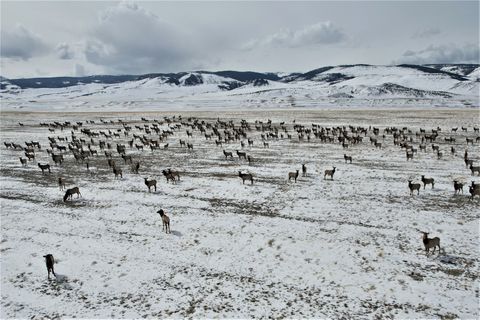 Tiny photo for Tract C1 HWY 287, Cameron, MT 59720 (MLS # 30069591)