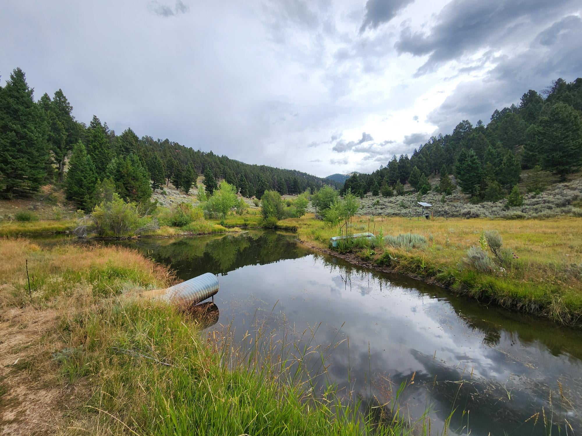 TBD Big Limber Gulch - Photo 2
