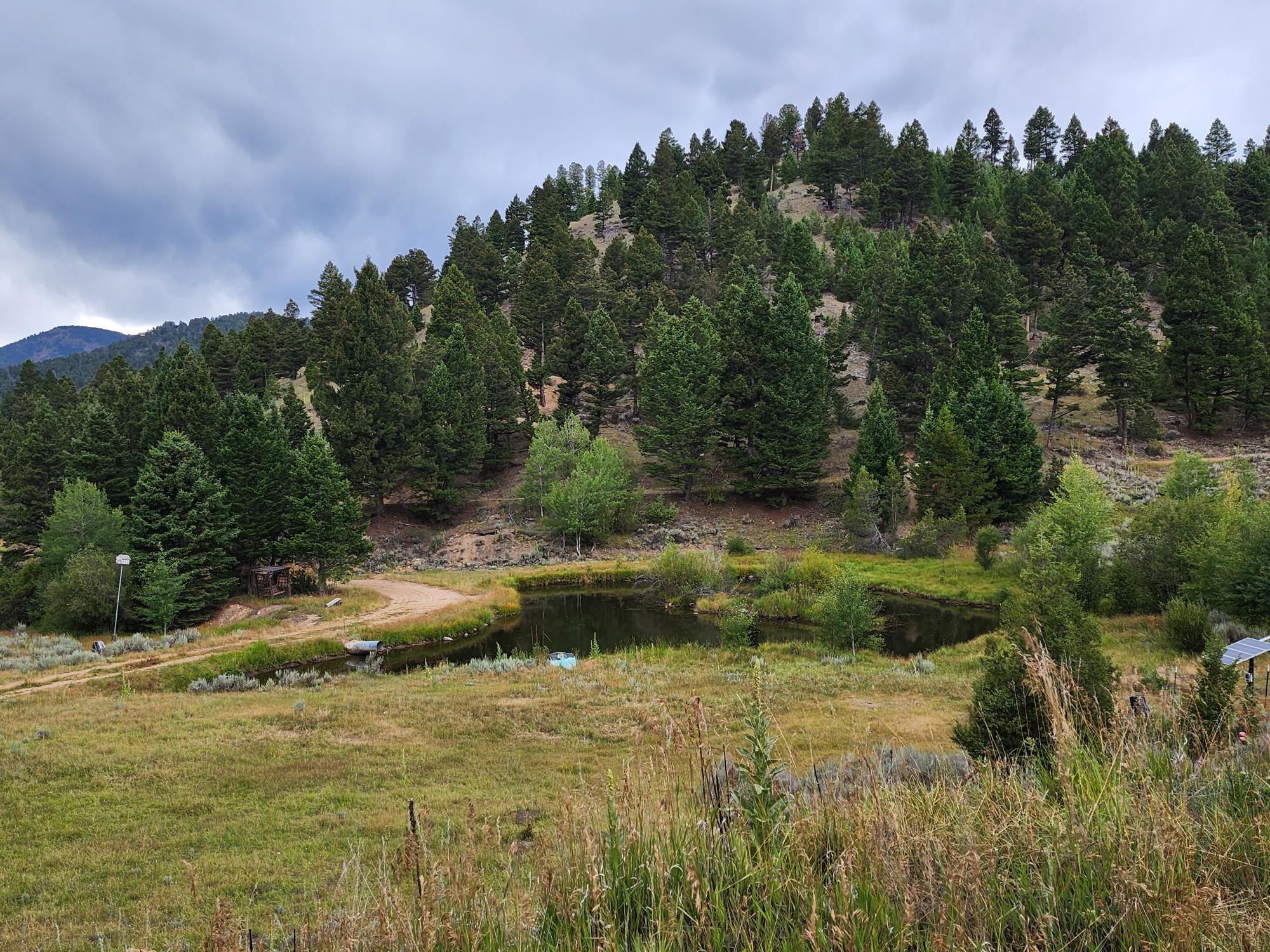 TBD Big Limber Gulch - Photo 3