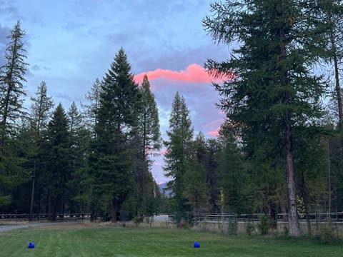 Tiny photo for 58 Fir Drive, Thompson Falls, MT 59873 (MLS # 30074736)