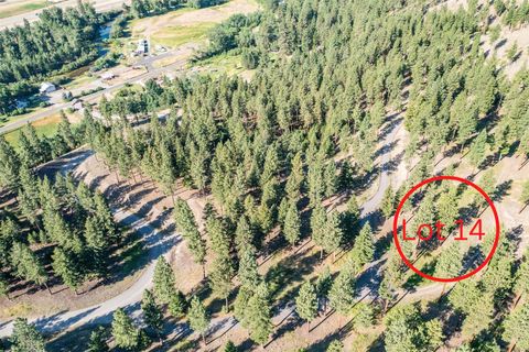 Tiny photo for 14311 Muddler Court, Clinton, MT 59825 (MLS # 30071287)