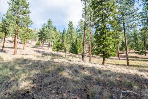 Tiny photo for 14311 Muddler Court, Clinton, MT 59825 (MLS # 30071287)