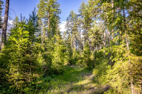 Tiny photo for 300 Salish Mountains Drive, Whitefish, MT 59937 (MLS # 30068358)