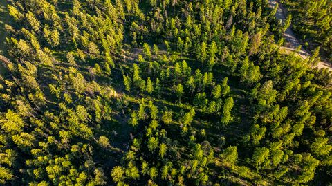 Tiny photo for 300 Salish Mountains Drive, Whitefish, MT 59937 (MLS # 30068358)