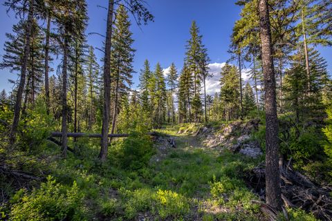 Tiny photo for 300 Salish Mountains Drive, Whitefish, MT 59937 (MLS # 30068358)