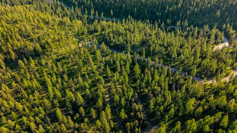 Tiny photo for 300 Salish Mountains Drive, Whitefish, MT 59937 (MLS # 30068358)