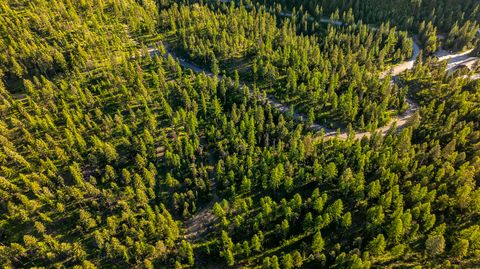 Tiny photo for 300 Salish Mountains Drive, Whitefish, MT 59937 (MLS # 30068358)