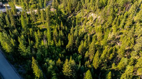 Tiny photo for 300 Salish Mountains Drive, Whitefish, MT 59937 (MLS # 30068358)