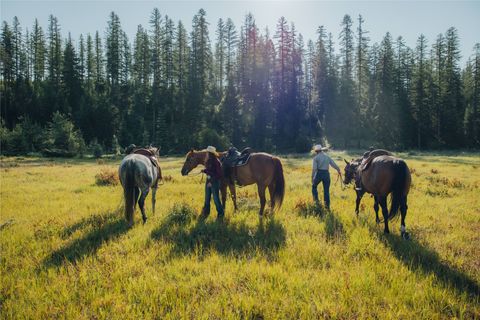 Tiny photo for 300 Salish Mountains Drive, Whitefish, MT 59937 (MLS # 30068358)