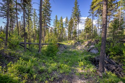 Tiny photo for 300 Salish Mountains Drive, Whitefish, MT 59937 (MLS # 30068358)
