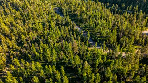 Tiny photo for 300 Salish Mountains Drive, Whitefish, MT 59937 (MLS # 30068358)