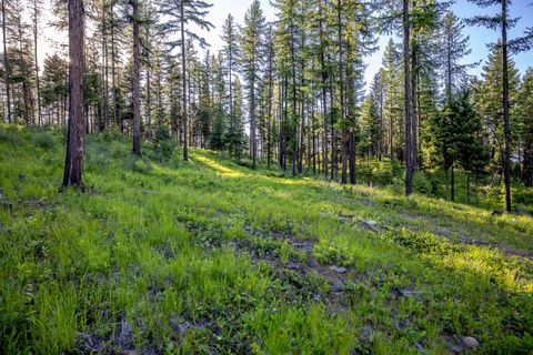 Tiny photo for 300 Salish Mountains Drive, Whitefish, MT 59937 (MLS # 30068358)