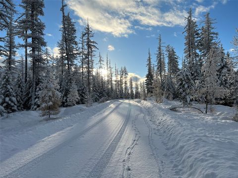 Tiny photo for 300 Salish Mountains Drive, Whitefish, MT 59937 (MLS # 30068358)