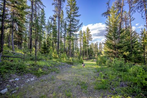 Tiny photo for 300 Salish Mountains Drive, Whitefish, MT 59937 (MLS # 30068358)