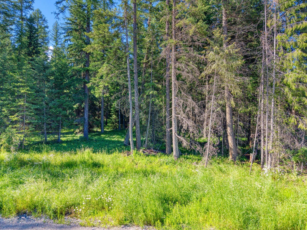 Photo of 219 Kinnikinnick Lane, Columbia Falls, MT 59912 (MLS # 30073668)