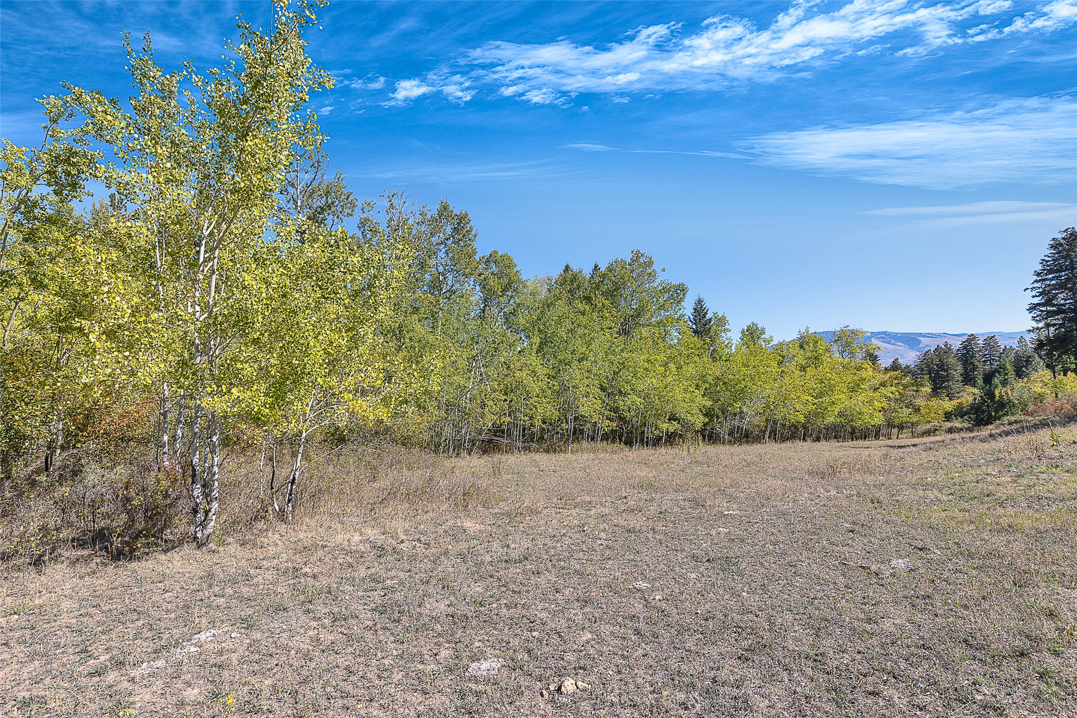 000 McClain Creek Meadows