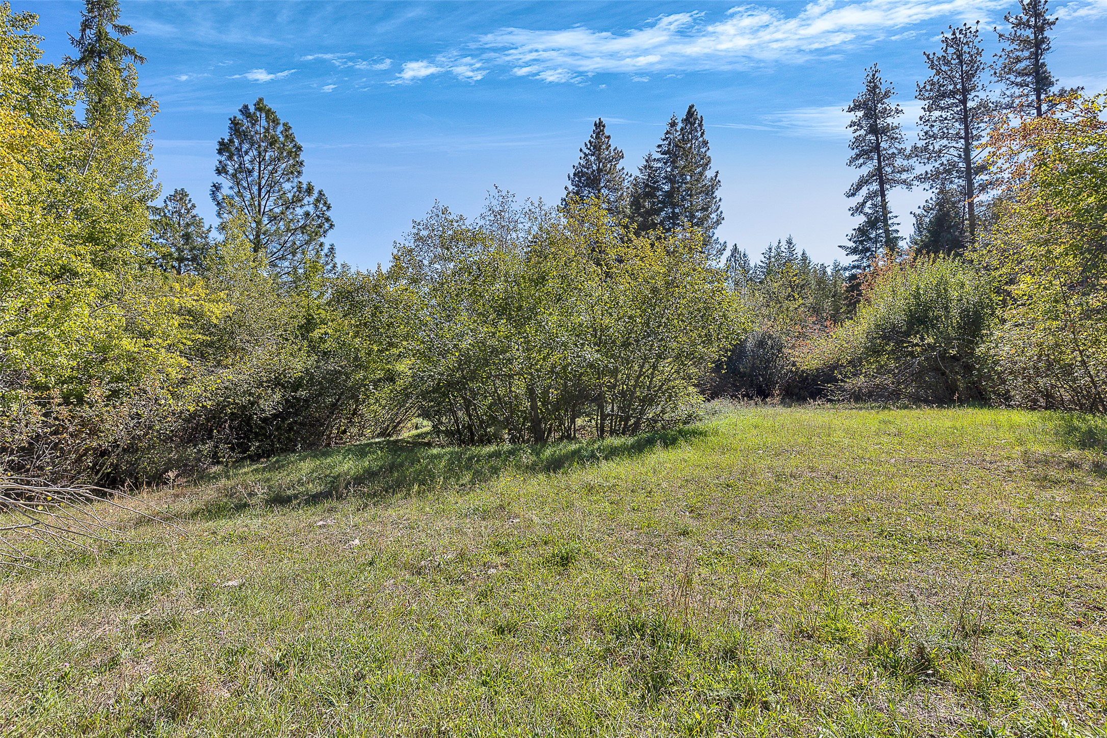 000 McClain Creek Meadows