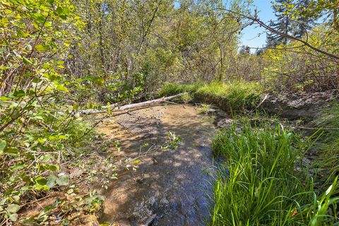 Photo of 000 McClain Creek Meadows, Florence, MT 59833 (MLS # 30058537)
