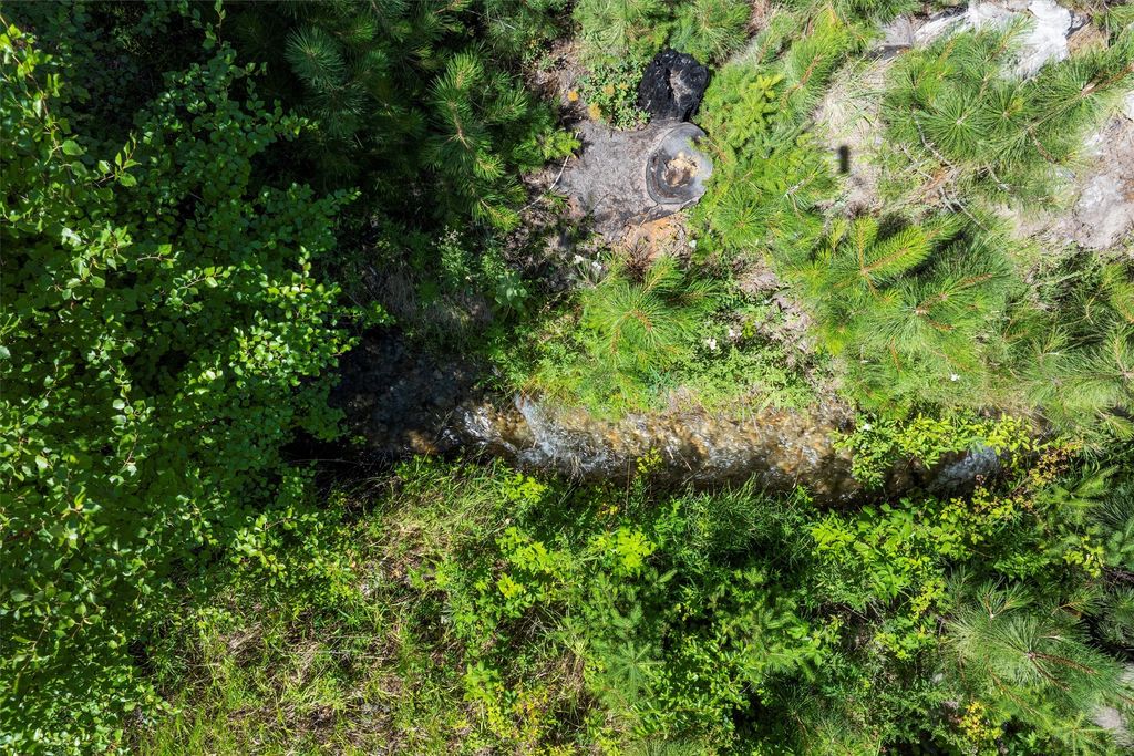 Photo of 439 Roaring Lion Road, Hamilton, MT 59840 (MLS # 30063501)