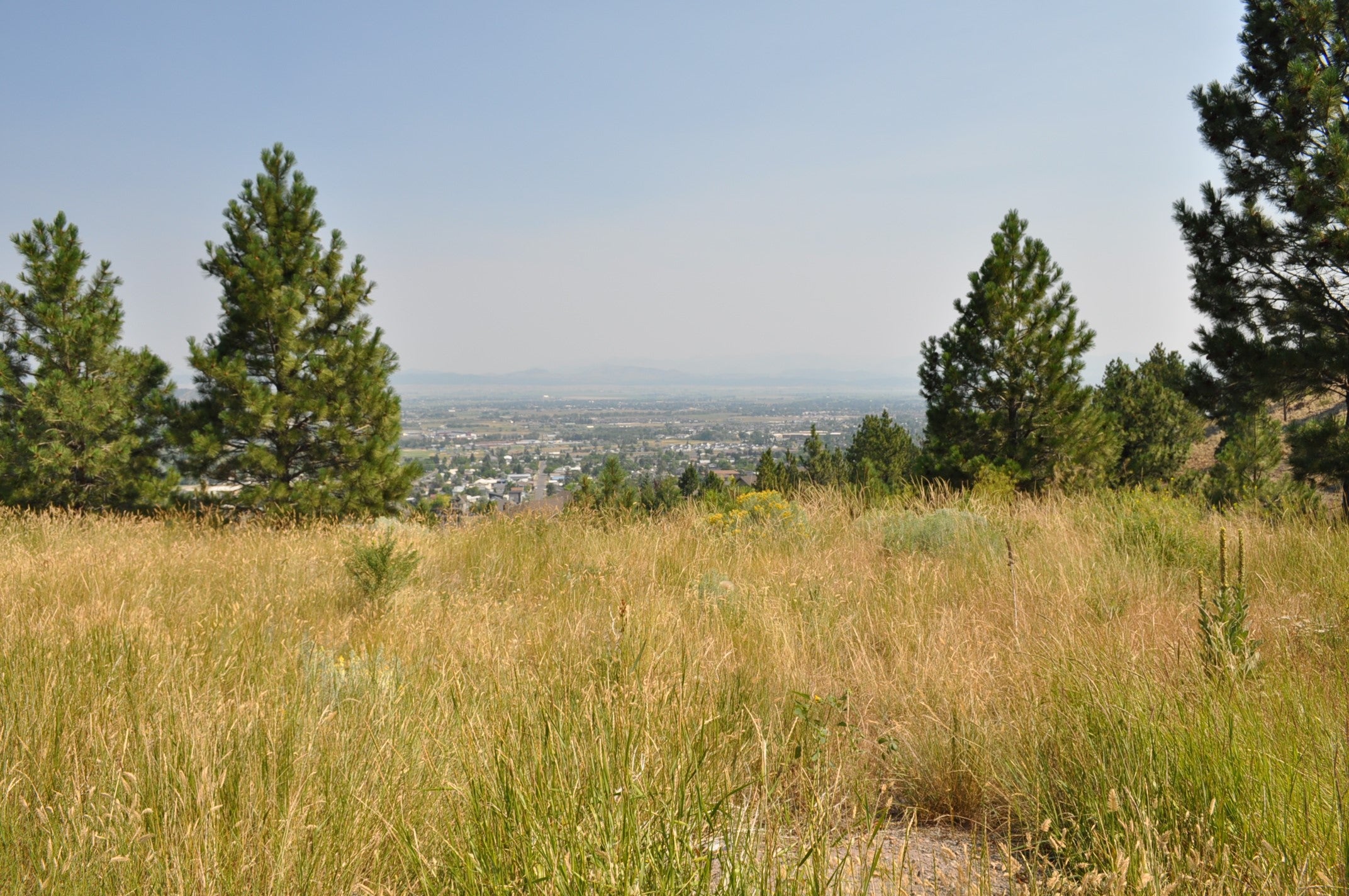 2095 Reber Road 1311