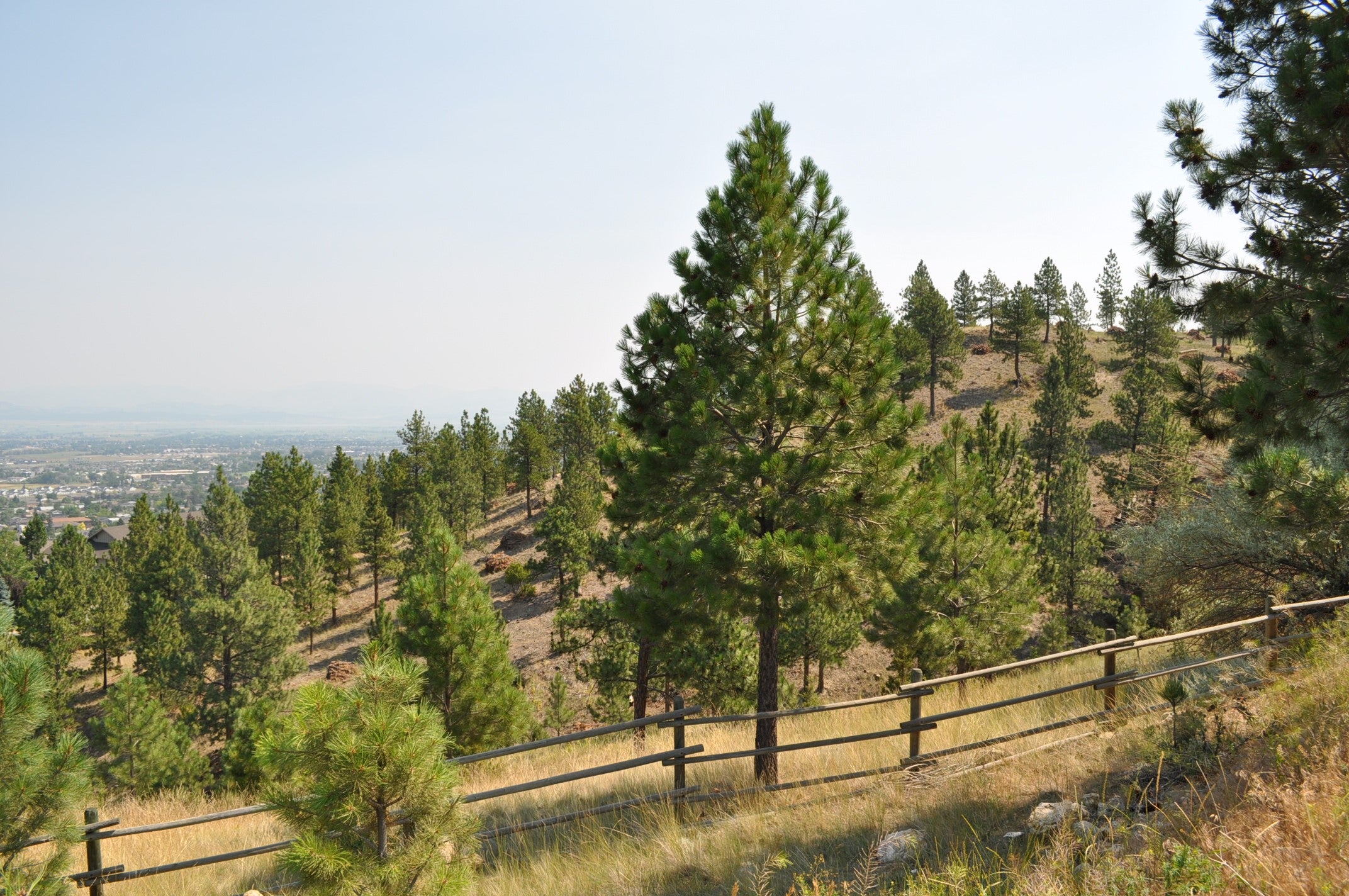 2095 Reber Road 1311