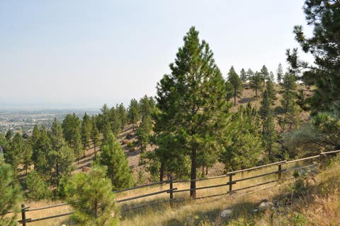 Tiny photo for 2095 Reber Road #1311, Helena, MT 59601 (MLS # 30077113)