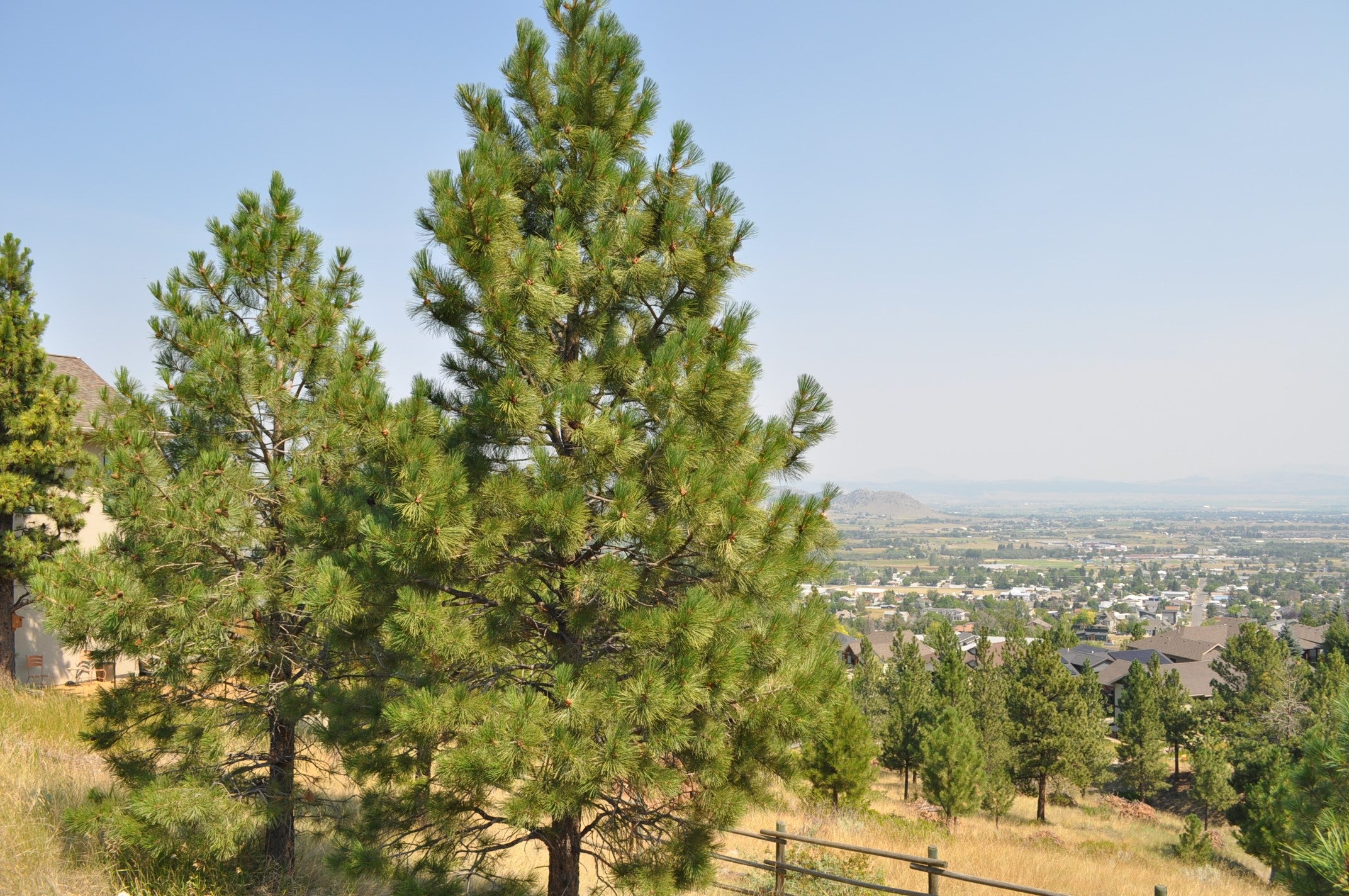 2095 Reber Road 1311