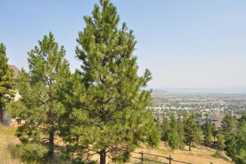 Tiny photo for 2095 Reber Road #1311, Helena, MT 59601 (MLS # 30077113)