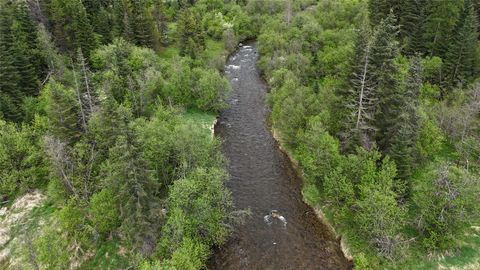 Tiny photo for 156 Saddle Creek Road, Troy, MT 59935 (MLS # 30070393)