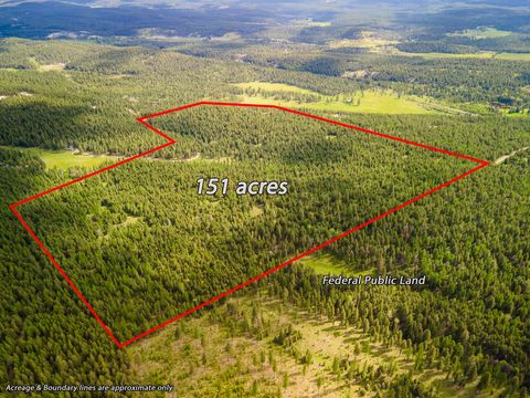 NHN Broken Jaw Trail Eureka MT 59917