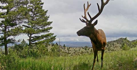 Tiny photo for TBD PVT 1 Road, Radersburg, MT 59641 (MLS # 30076924)