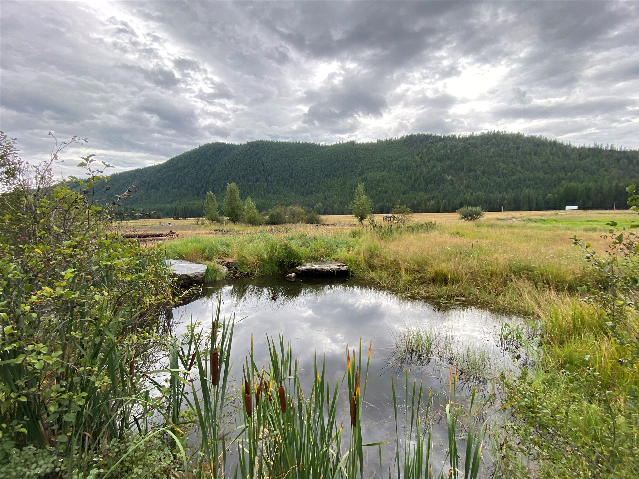 2398 Pine Creek Road
