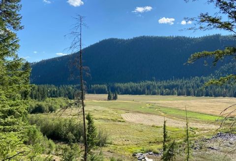 2398 Pine Creek Road Yaak MT 59935