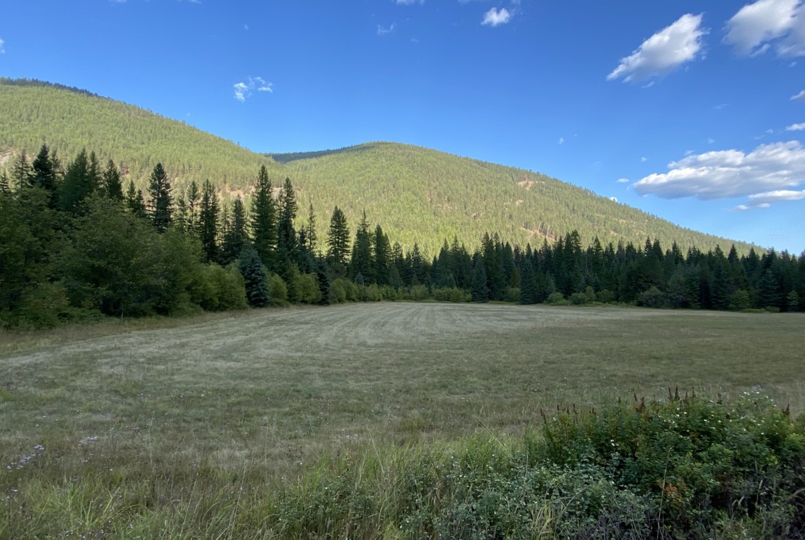 2398 Pine Creek Road