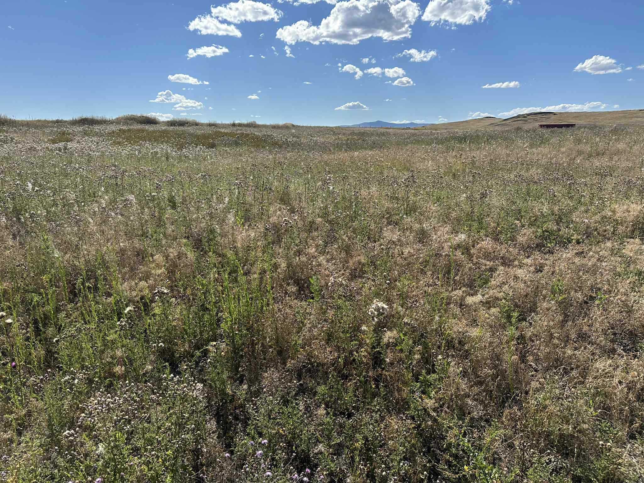 38103 Valley Hills Lane