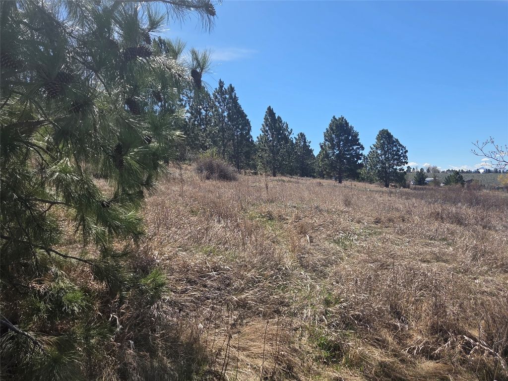 Photo of 1233 Narrow Way, Stevensville, MT 59870 (MLS # 30068366)