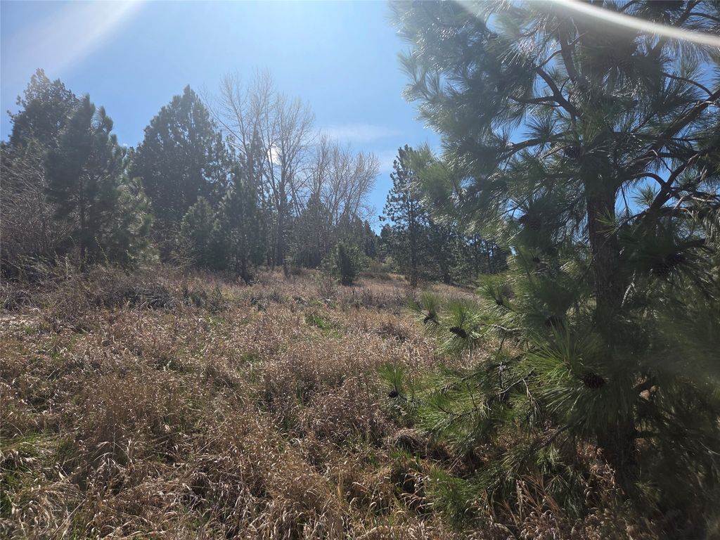 Photo of 1233 Narrow Way, Stevensville, MT 59870 (MLS # 30068366)