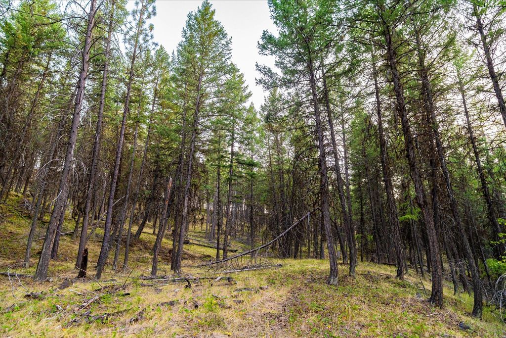 Photo of NHN Black Lake Road, Rexford, MT 59930 (MLS # 30068854)
