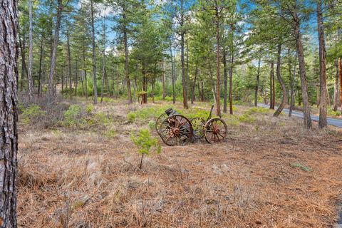 Tiny photo for 18082 Demersville Wagon Road, Lakeside, MT 59922 (MLS # 30069125)