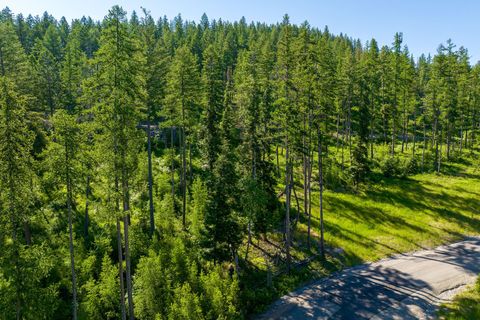Tiny photo for 234 Trading Post Trail, Bigfork, MT 59911 (MLS # 30070234)