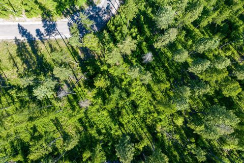 Tiny photo for 234 Trading Post Trail, Bigfork, MT 59911 (MLS # 30070234)