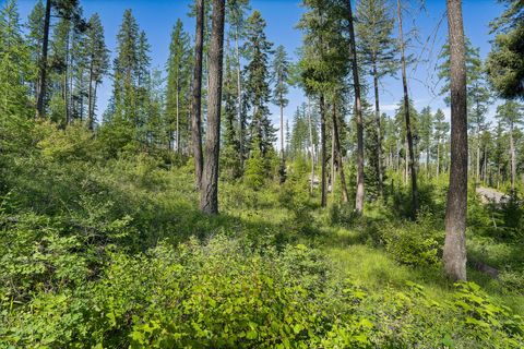 Tiny photo for 234 Trading Post Trail, Bigfork, MT 59911 (MLS # 30070234)
