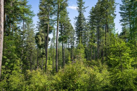 Tiny photo for 234 Trading Post Trail, Bigfork, MT 59911 (MLS # 30070234)