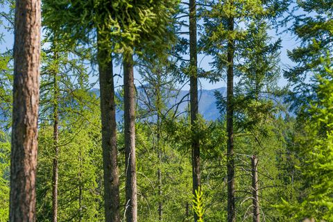Tiny photo for 234 Trading Post Trail, Bigfork, MT 59911 (MLS # 30070234)