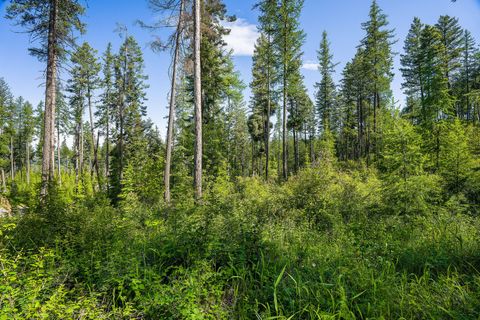 Tiny photo for 234 Trading Post Trail, Bigfork, MT 59911 (MLS # 30070234)